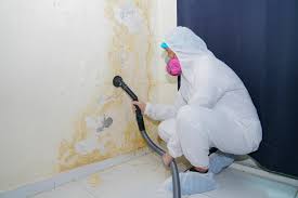 Best HVAC Mold Inspection and Cleaning  in Church Hill, MD